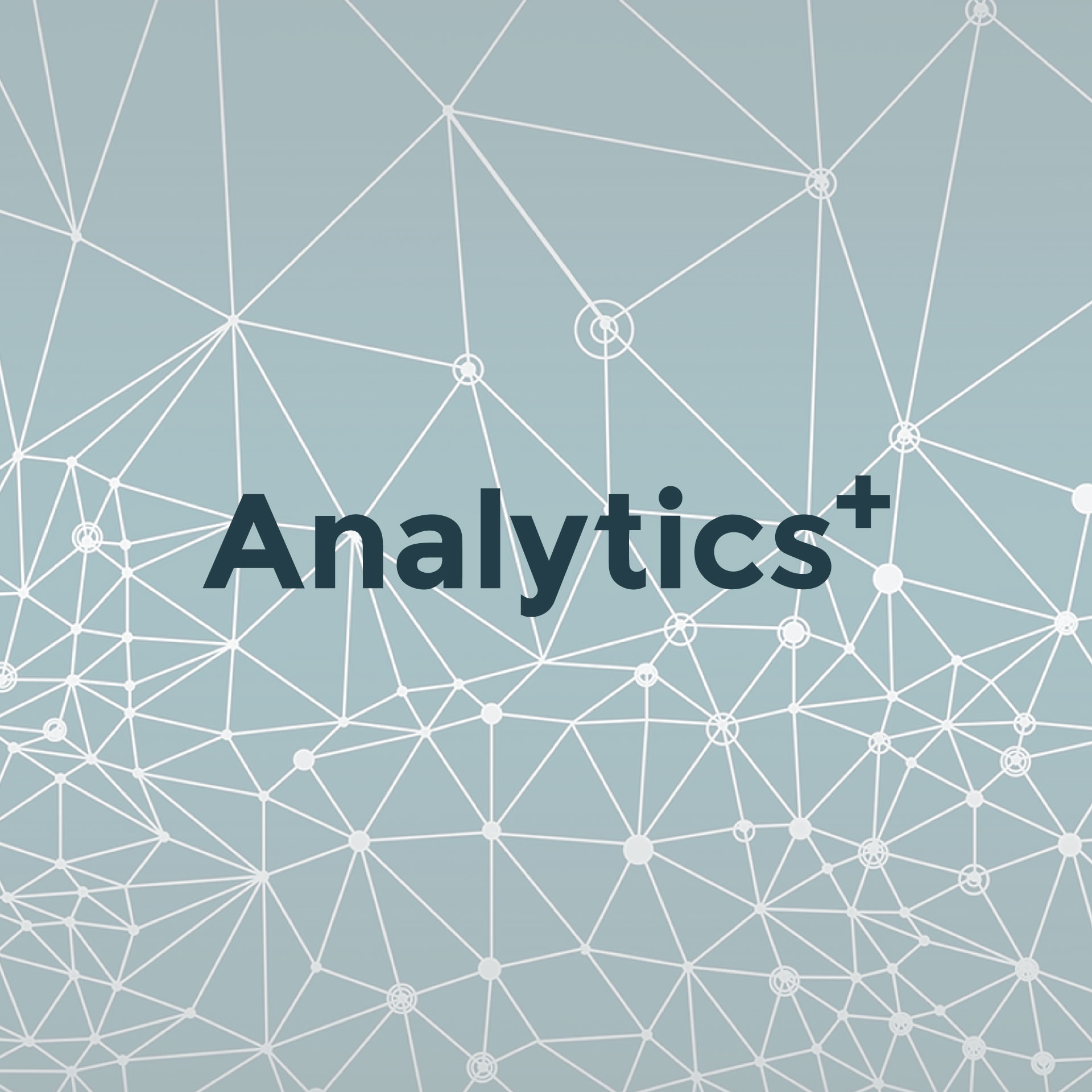 Analytics+, AI Ecosystem, portfolio image