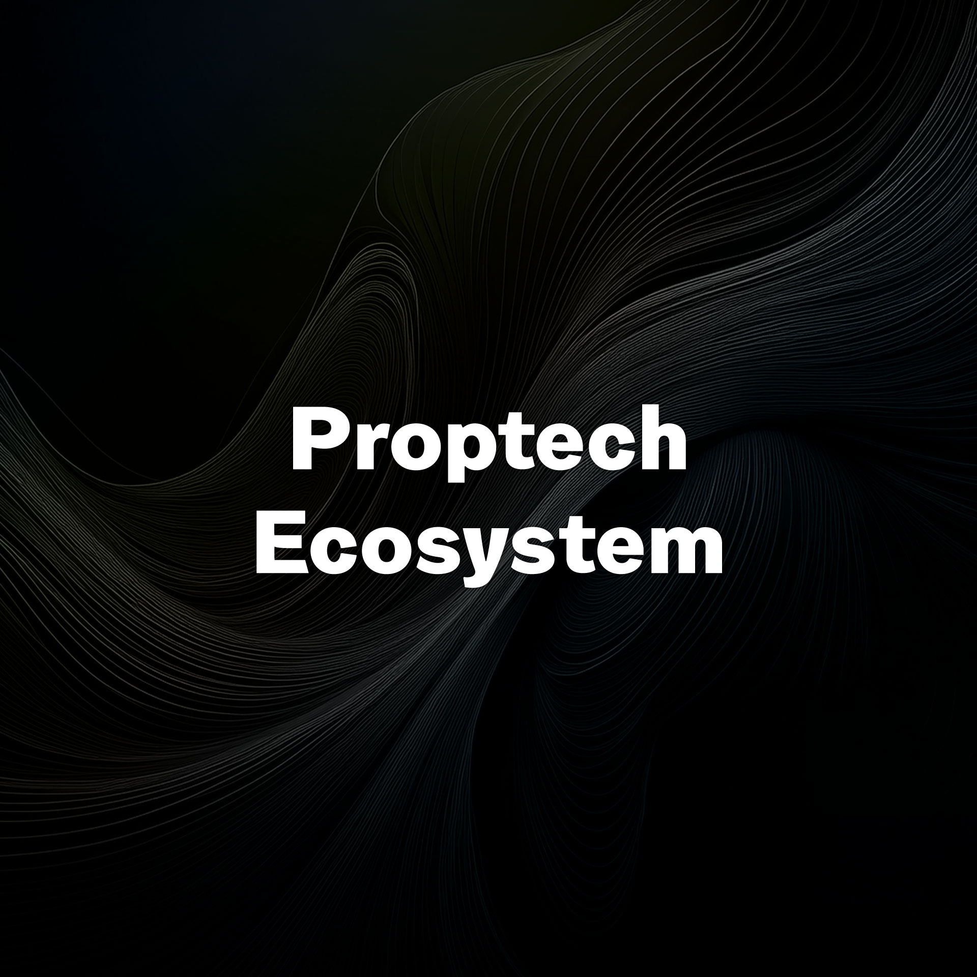 Proptech Ecosystem, portfolio image